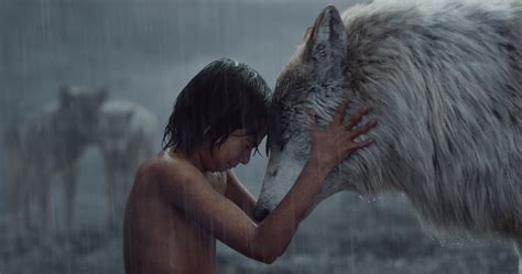 jungle book  action cheapest offers save  jlcatjgobmx