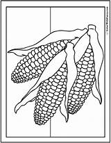Corn Coloring Pages Thanksgiving Ear Cob Printable Ears Fall Drawing Color Colorwithfuzzy Stalk Print Kids Getdrawings Pdf Fun Three Flower sketch template