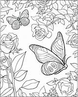 Coloring Pages Butterfly Small Easy Getcolorings Printable Color Print sketch template
