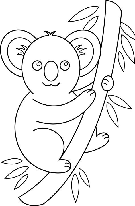 koala outline   koala outline png images