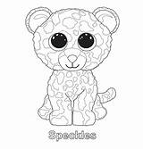 Beanie Boo Ty Coloring Pages Boos Printable Speckles Colorear Para Leopard Colouring Book Print Party Kids Sheets Babies Kleurplaten Peluches sketch template