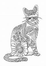 Coloring Chats Kočka Formát Potřeby Zboží Prodejce Výtvarné Adulte Mandalas sketch template