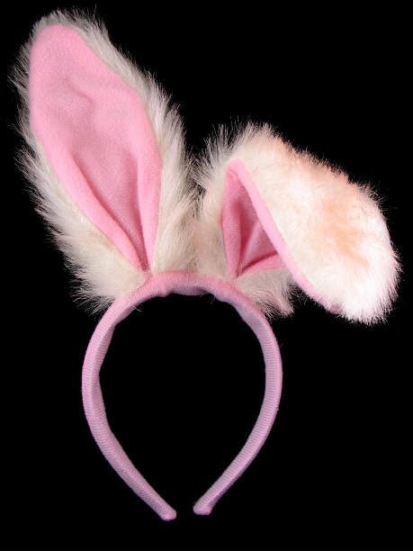 rabbit ears stock  pictures royalty  images istock