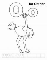 Ostrich Coloring Letter Handwriting Practice Pages Oo Sheets Otter Kids Popular Comments Library Clipart Coloringhome sketch template