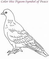 Coloring Pigeon Pages Printable Kids Dove Pigeons Colouring Cute Clipart Print Animals Birds Pdf Open  Library Animal Popular Children sketch template
