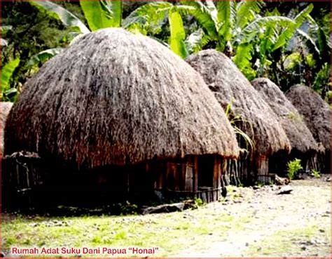 contoh kumpulan rumah adat papua barat  kediaman suku  desain interior exterior