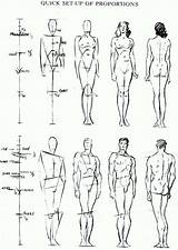 Proportions Loomis Correct Drawinghowtodraw Pose пропорции Dibujar тела Sketching Anatomie Anatomia Tekenen Cuerpos Choi sketch template