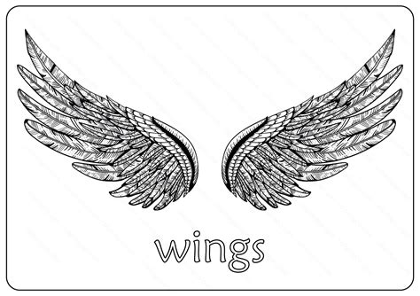 printable wings coloring pages