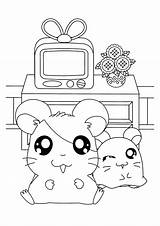 Coloring Pages Hamtaro Room Cute Kids Living Penelope Pashmina Picgifs Color Printable Drawing sketch template
