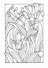 Coloring Tulips Pages Cathedral Getcolorings Adult Drawings Color Edupics Print Large sketch template