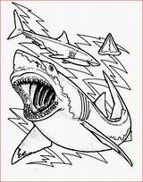 Shark Coloring Pages Sharks Great Color Printable Teeth Megalodon Sheet Drawing Bulls Kids Chicago Bull Outline Anatomy Clark Print Sheets sketch template