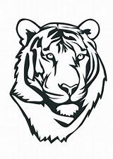 Tiger Face Stencil Drawing Library Clipart Kids sketch template