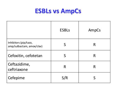 difference  esbl kpc mbl  ampc researchgate