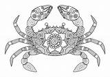 Crab Colorare Zentangle Disegnato Dello Granchio Svegli Fumetto Pesci sketch template