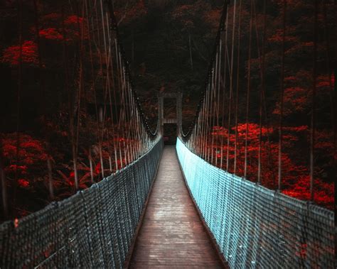 landscape nature dark fall bridge trees red