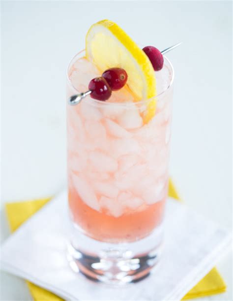 Caribbean Cranberry Lemonade The Drink Kings