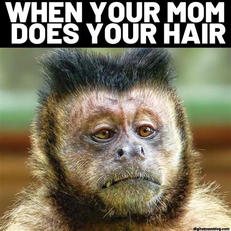day    monkey meme posts   debut rvirtualyoutubers