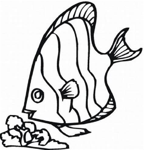 pics  cute fish colouring pages page
