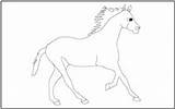Coloring Horse Tracing Animals Animal Pages Mathworksheets4kids sketch template