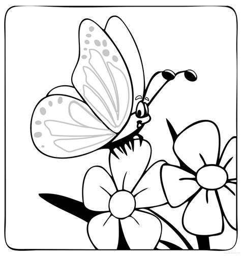 butterfly coloring pages  kids  images print