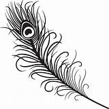 Feather Eagle Clipart Template Clip Coloring Pages sketch template