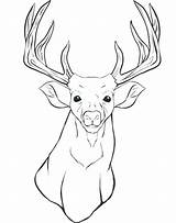Deer Coloring Pages Head Realistic Outline Hunter Elk Drawing Printable Print Hunting Color Whitetail Getcolorings Getdrawings Colouring sketch template