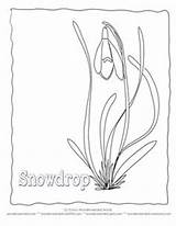Flower Spring Coloring Flowers Snowdrop Sheets Template Kids Google Color Library Clipart Popular Ro Line sketch template