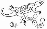 Coloring Gecko Lizard Pages Baby Kids Cute Colouring Printable Cartoon Reptiles Color Drawing Template Print Lizards Reptile Realistic Getdrawings Cool2bkids sketch template