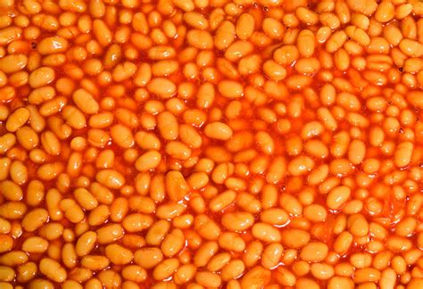 facts   knew  baked beans news