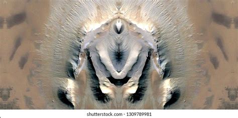 zdjęcie stockowe „sex pussy vulva clitoris vagina orgasm” 1309789981