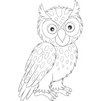 owl coloring pages surfnetkids