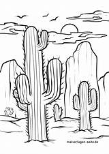 Kaktus Malvorlage Kakteen Ausmalbilder sketch template