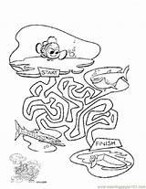 Coloring Finish Line Nemo Maze Getdrawings Getcolorings sketch template