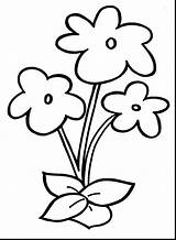 Coloring Pages Print Flower Printable Flowers Color Getcolorings Adult sketch template