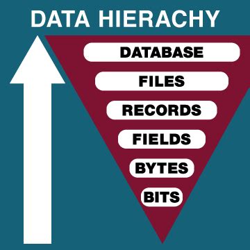 data hierarchy engineering libretexts