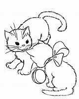 Gatti Gattini Kitten Kittens Giocano Comunicano Coloring sketch template