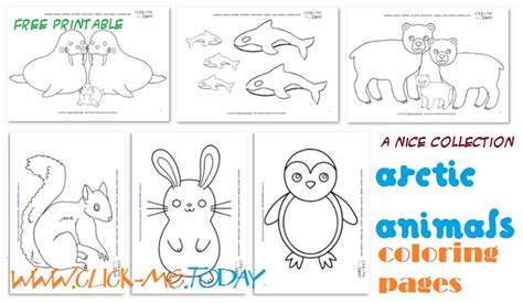 arctic animals  printable coloring pages