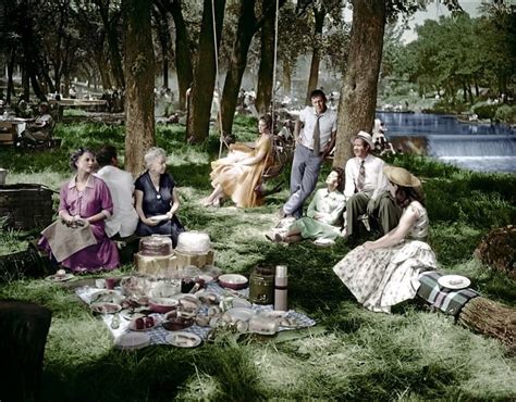 picture of picnic