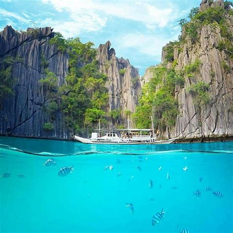 Pin By Harthys Pure Care On Much More Fun In Cebu Philippines Palawan
