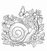 Snail Nature Coloring Printable Pages Kids A4 Coloringonly sketch template
