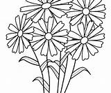 Lily Stargazer Coloring Getdrawings sketch template