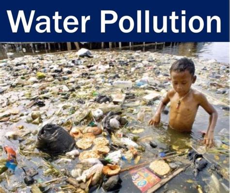Causes Of Water Pollution How Water Pollution Affect Humans