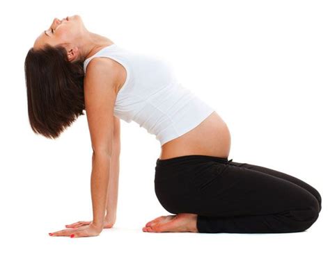 how to work out safely during the first trimester knocked up all things pregnancy prenatal