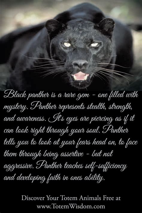 httptotemwisdomblogspotcomblack panther totem image  meaninghtml learn