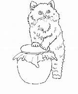Kleurplaten Poezen Katten Mewarnai Katzen Kucing Animasi Dieren Poes Kolorowanki Malvorlagen Koty Katze Colorat Bergerak Pisici Planse Uitprinten Animierte Gify sketch template