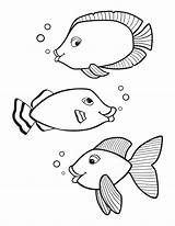 Coloring Pages Fish Fishes Color Print Kids Printable sketch template