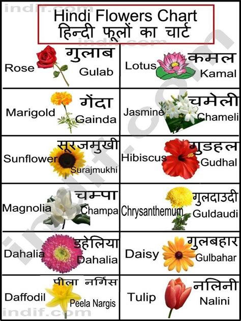 perfect  flowers   hindi  images  pics hindi language learning flowers chart