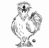 Silkie Chickens Chicken Drawing Fluffy Rooster Kale Salad Too Much Choose Board Logo sketch template