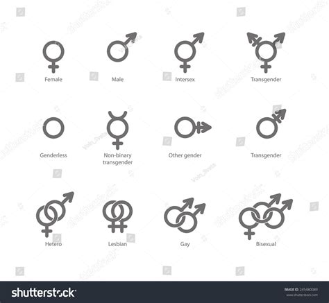 Vector Outlines Icons Gender Symbols Combinations Stock