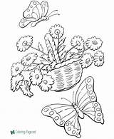 Spring Coloring Pages Butterflies sketch template